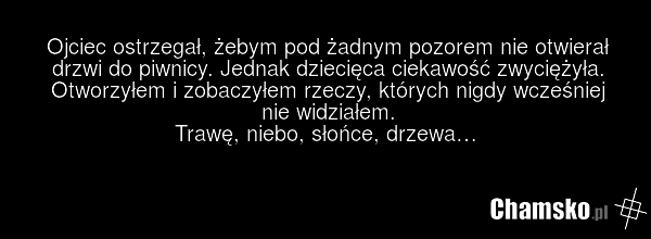 Ojciec ostrzegał, żebym pod żadnym pozorem nie otwierał drzwi do piwnicy. Jednak dziecięca ciekawość zwyciężyła. Otworzyłem i zobaczyłem rzeczy, których nigdy wcześniej nie widziałem. Trawę, niebo, słońce, drzewa…