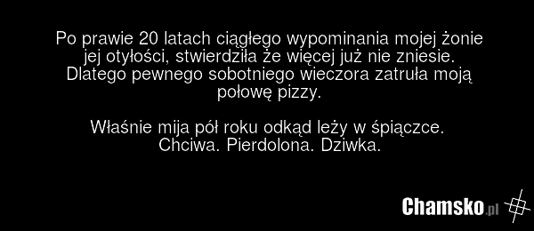 Po prawie 20 latach ciągłego wypominania mojej żonie jej otyłości, stwierdziła że więcej już nie zniesie. Dlatego pewnego sobotniego wieczora zatruła moją połowę pizzy. Właśnie mija pół roku odkąd leży w śpiączce. Chciwa. Pierdolona. Dziwka.
