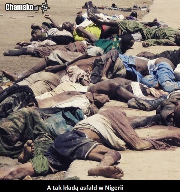 asfald w Nigerii