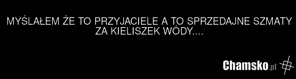 MYŚLAŁEM ŻE TO PRZYJACIELE A TO SPRZEDAJNE SZMATY ZA KIELISZEK WÓDY....