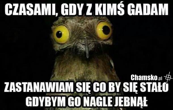 W zasadzie to co chwilę...