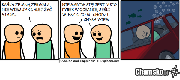Chyba nie zrozumiał