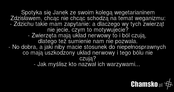Spotyka się Janek ze swoim kolegą wegetarianinem Zdzisławem, chcąc nie chcąc schodzą na temat weganizmu: - Zdzichu takie mam zapytanie: a dlaczego wy tych zwierząt nie jecie, czym to motywujecie? - Zwierzęta mają układ nerwowy to i ból czują, dlatego też sumienie nam nie pozwala. - No dobra, a jaki…