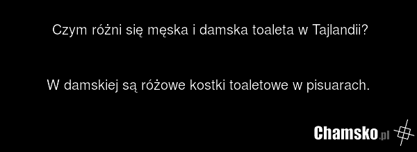 Czym różni się męska i damska toaleta w Tajlandii? W damskiej są różowe kostki toaletowe w pisuarach.