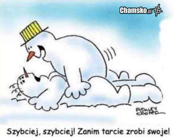 -NUMEREK????