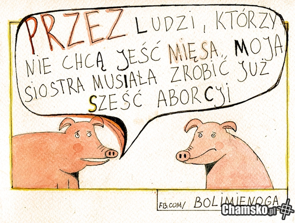 Biedna świnka