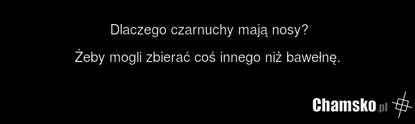 Dlaczego czarnuchy mają nosy? Żeby mogli zbierać coś innego niż bawełnę.