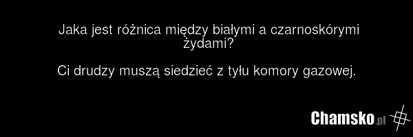 Jaka jest różnica między białymi a czarnoskórymi żydami? Ci drudzy muszą siedzieć z tyłu komory gazowej.