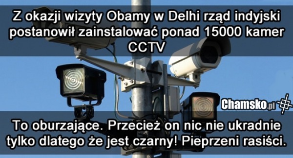 Ale oni nie ufni!