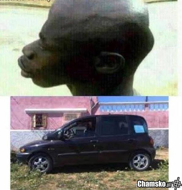 Multipla i jej pierwowzór