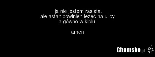 ja nie jestem rasistą. ale asfalt powinien leżeć na ulicy a gówno w kiblu amen