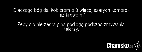 Dlaczego bóg dał kobietom o 3 więcej szarych komórek niż krowom? Żeby się nie zesrały na podłogę podczas zmywania talerzy.