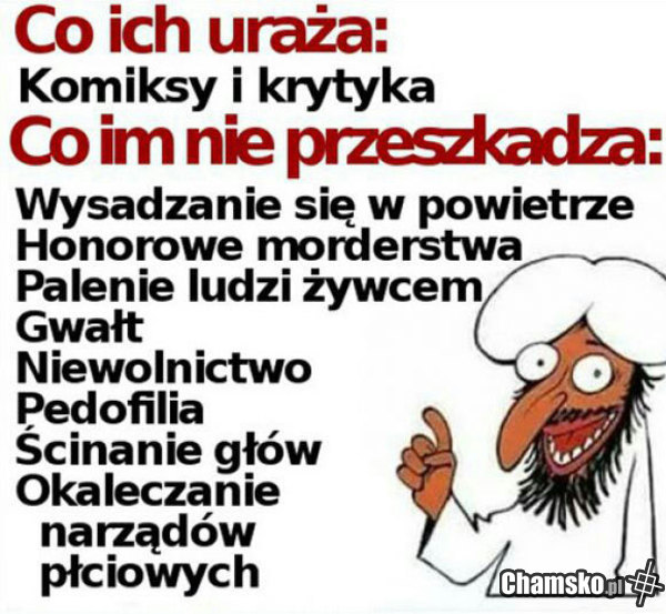 Co obraża muzułmanów?