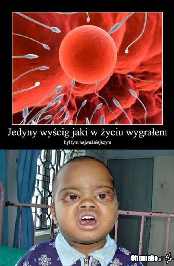 najważniejszy wyścig