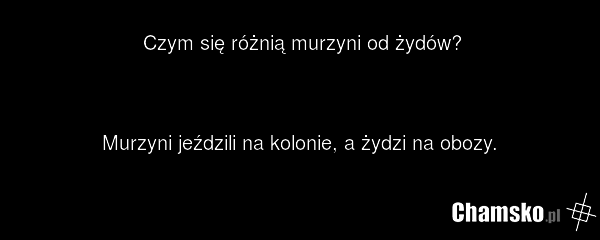 Czym się różnią murzyni od żydów? Murzyni jeździli na kolonie, a żydzi na obozy.