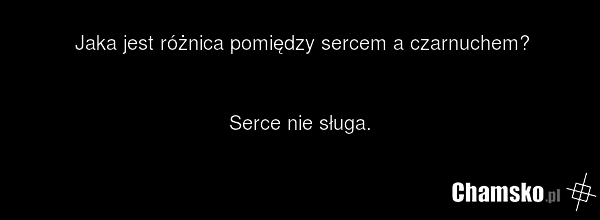 Jaka jest różnica pomiędzy sercem a czarnuchem? Serce nie sługa.