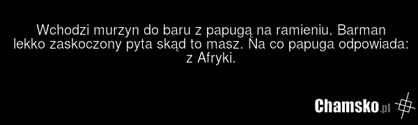 Wchodzi murzyn do baru z papugą na ramieniu. Barman lekko zaskoczony pyta skąd to masz. Na co papuga odpowiada: z Afryki.