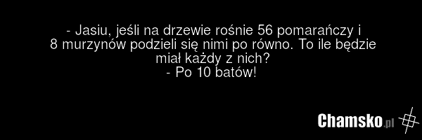 - Jasiu, jeśli na drzewie rośnie 56 pomarańczy i 8 murzynów podzieli się nimi po równo. To ile będzie miał każdy z nich? - Po 10 batów!