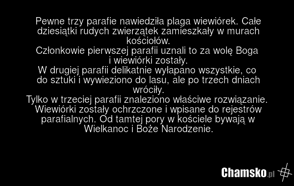 Pewne trzy parafie nawiedziła plaga wiewiórek. Całe dziesiątki rudych zwierzątek zamieszkały w murach kościołów. Członkowie pierwszej parafii uznali to za wolę Boga i wiewiórki zostały. W drugiej parafii delikatnie wyłapano wszystkie, co do sztuki i wywieziono do lasu, ale po trzech dniach wróciły.…