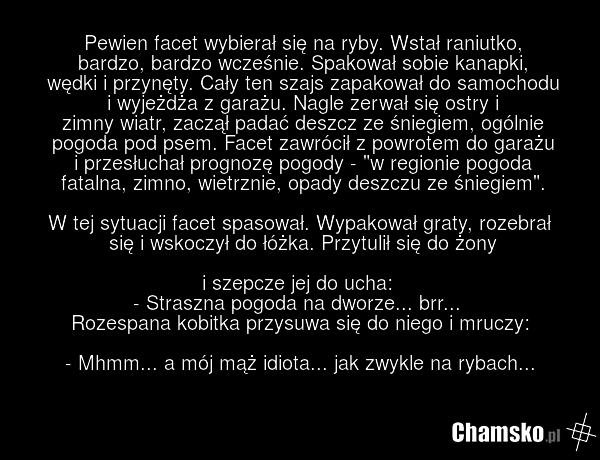 Pewien facet wybierał się na ryby. Wstał raniutko, bardzo, bardzo wcześnie. Spakował sobie kanapki, wędki i przynęty. Cały ten szajs zapakował do samochodu i wyjeżdża z garażu. Nagle zerwał się ostry i zimny wiatr, zaczął padać deszcz ze śniegiem, ogólnie pogoda pod psem. Facet zawrócił z powrotem…