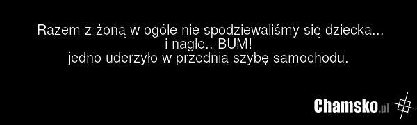 Razem z żoną w ogóle nie spodziewaliśmy się dziecka... i nagle.. BUM! jedno uderzyło w przednią szybę samochodu.
