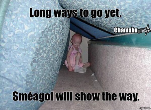 Smogul pokaże ci drogę