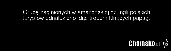 Grupę zaginionych w amazońskiej dżungli polskich turystów odnaleziono idąc tropem klnących papug.