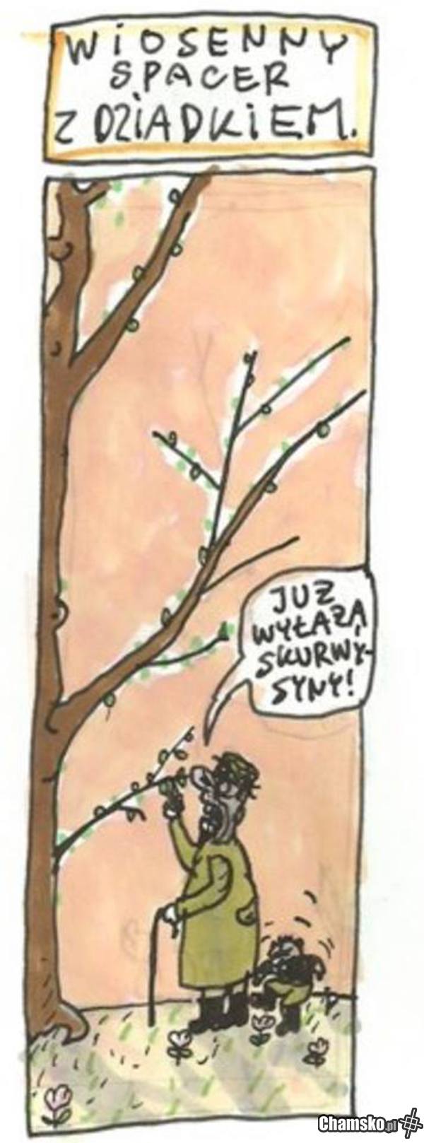 Spacer z dziadkiem