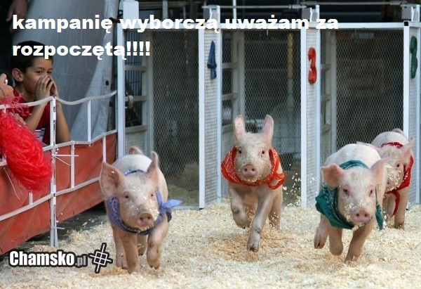Kampania wyborcza rozpoczęta!