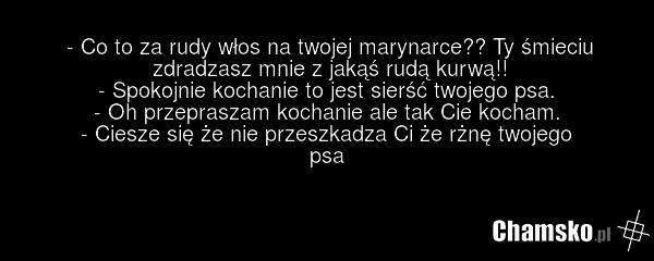 - Co to za rudy włos na twojej marynarce?? Ty śmieciu zdradzasz mnie z jakąś rudą kurwą!! - Spokojnie kochanie to jest sierść twojego psa. - Oh przepraszam kochanie ale tak Cie kocham. - Ciesze się że nie przeszkadza Ci że rżnę twojego psa