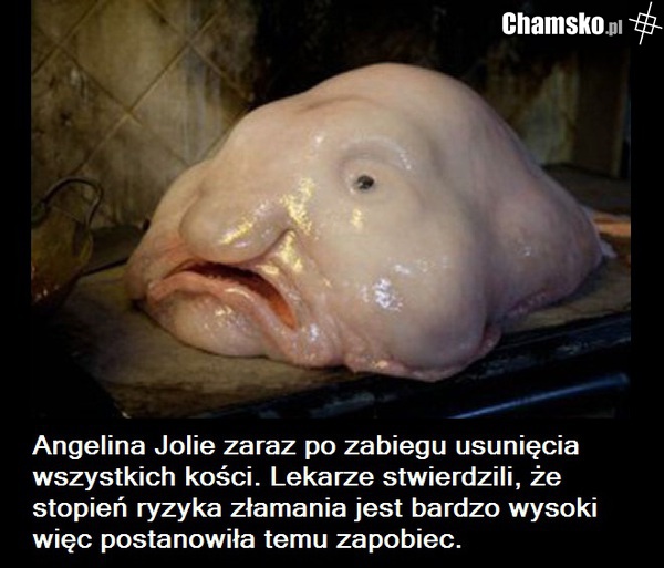 Angelina