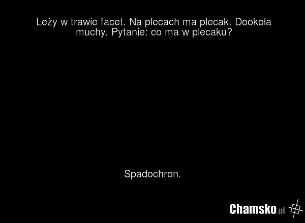 Leży w trawie facet. Na plecach ma plecak. Dookoła muchy. Pytanie: co ma w plecaku? Spadochron.