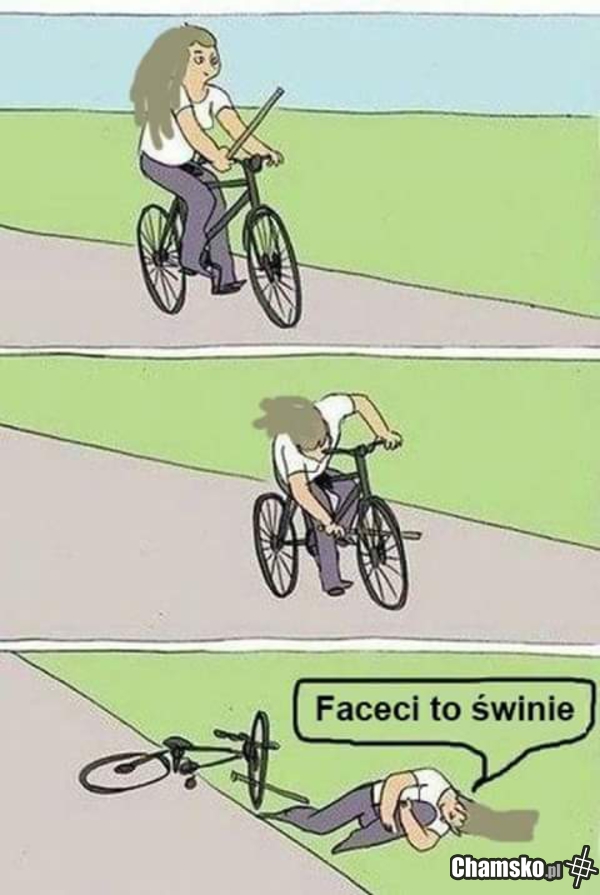 Typowa feministka