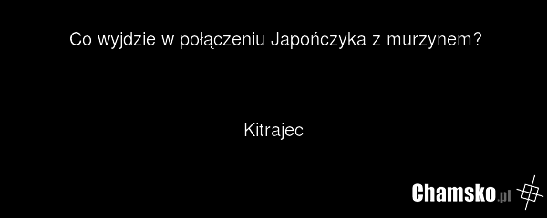 Co wyjdzie w połączeniu Japończyka z murzynem? Kitrajec