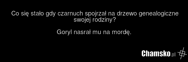 Co się stało gdy czarnuch spojrzał na drzewo genealogiczne swojej rodziny? Goryl nasrał mu na mordę.