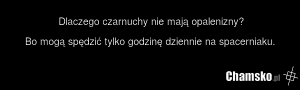 Dlaczego czarnuchy nie mają opalenizny? Bo mogą spędzić tylko godzinę dziennie na spacerniaku.