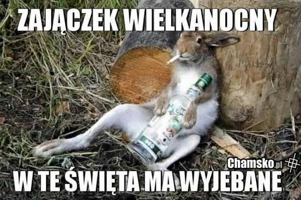 Zajączek wielkanocny