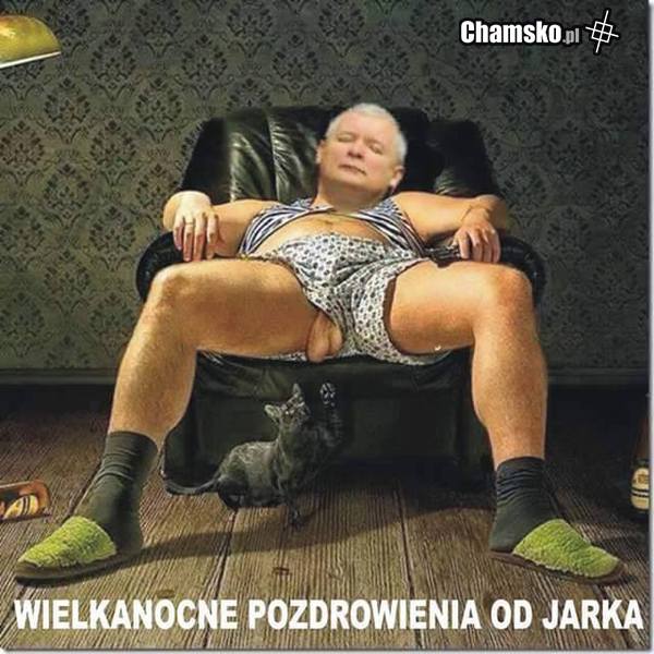 KACZOR POZDRAWIA NA ŚWIĘTA.....