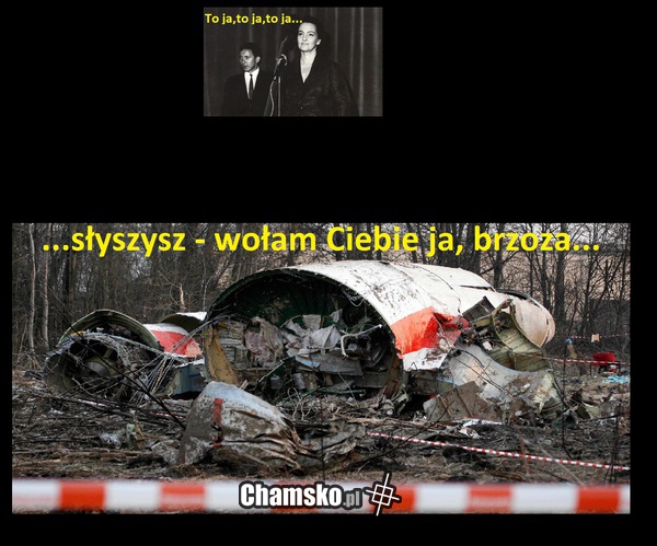 To brzoza
