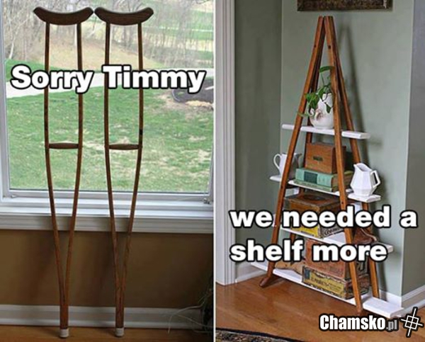 Sorry Timmy