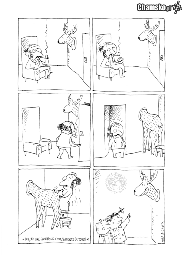 gimby nie znają