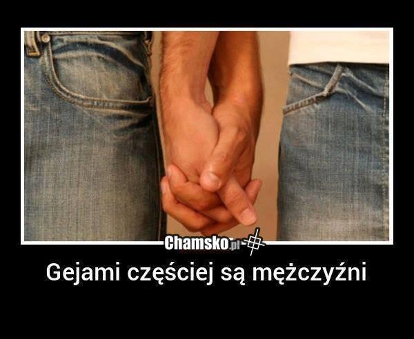 Ciekawostka