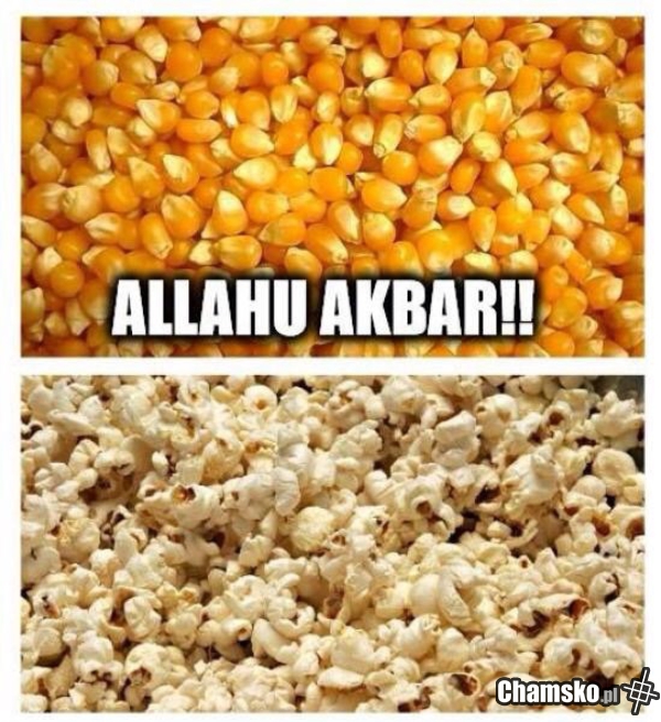 Popcorn