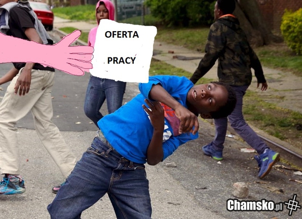 Oferta pracy