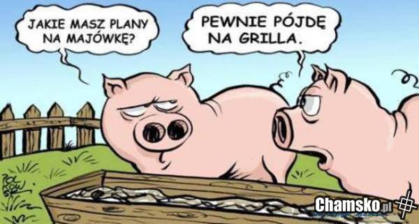 Plany na majówkę