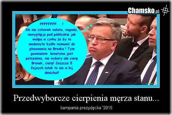 Kampania