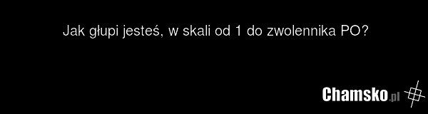 Jak głupi jesteś, w skali od 1 do zwolennika PO?