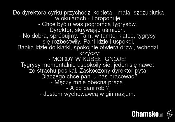 Do dyrektora cyrku przychodzi kobieta - mała, szczuplutka w okularach - i proponuje: - Chcę być u was pogromcą tygrysów. Dyrektor, skrywając uśmiech: - No dobra, spróbujmy. Tam, w tamtej klatce, tygrysy się rozbestwiły. Pani idzie i uspokoi. Babka idzie do klatki, spokojnie otwiera drzwi, wchodzi i…