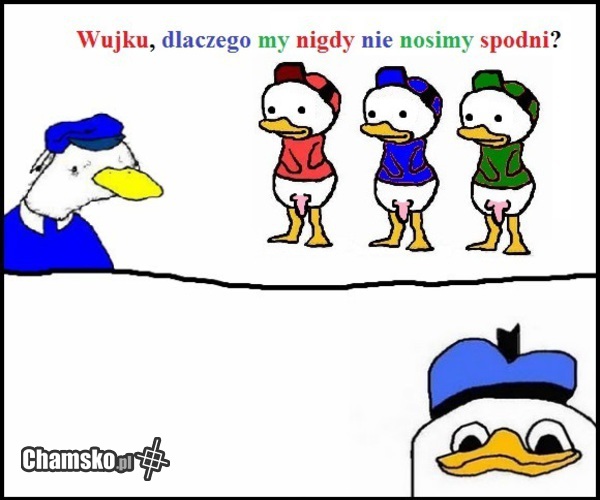 Spodnie