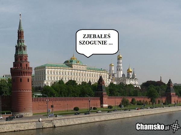 ZJEBAŁEŚ SZOGUNIE
